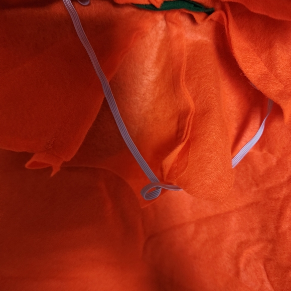 HALLOWEEN Pumpkin and Pumpkin Eater Costume - Picture 5 of 5